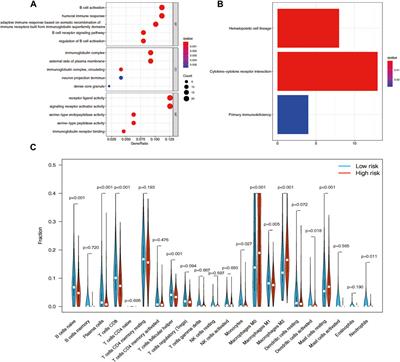 Deciphering the role of apoptosis signature on the immune dynamics and therapeutic prognosis in breast cancer: Implication for immunotherapy